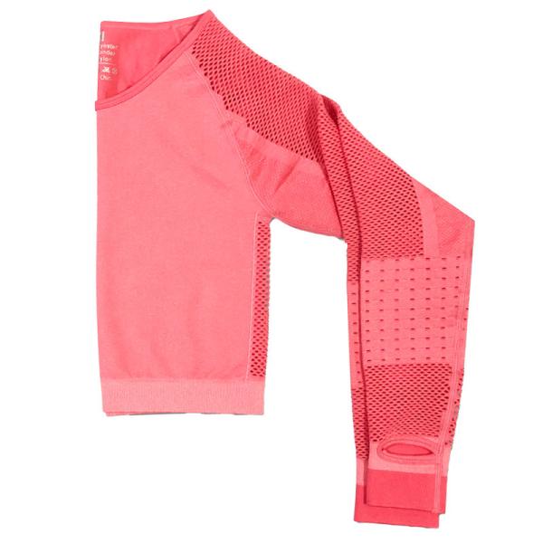 Women Yoga ApparelYoga Crop Top Seamless Leggings Gym Set High Waist Legging Pants