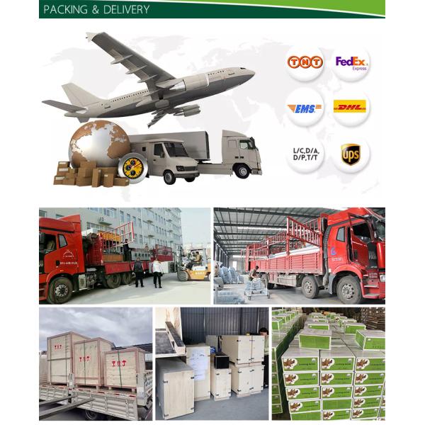 Pesée précise des animaux de 500 g sur les fermes Échelle de bétail avec clôture et support OEM personnalisé