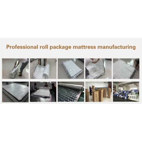 Non-Toxic Independent Pocket Spring Massage Knitted Cotton Breathing Fabric Furniture