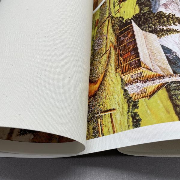 Large Format Inkjet Printing 380gsm Matte Canvas for Eco Solvent Printing