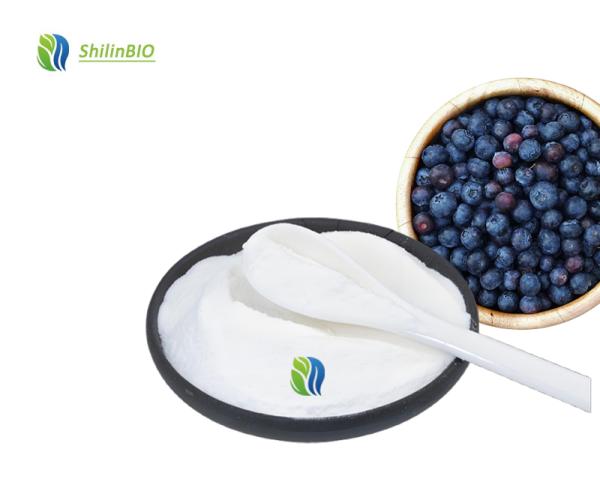 Blueberry Powder Bulk
