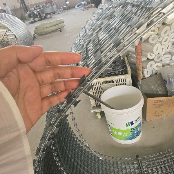 500 M Barbed Wire Galvanized Razor Wire Anti Climb Bird Protective