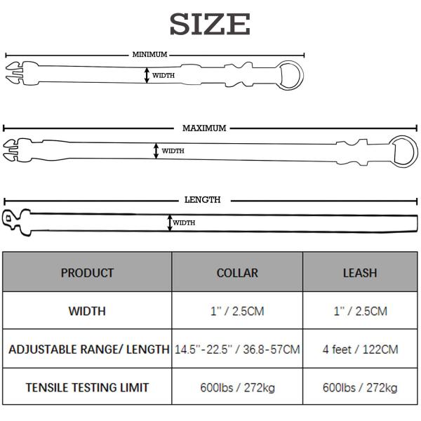 Comfortable Waterproof Unique Dog Collars And Leashes Reflective With Extra Loop