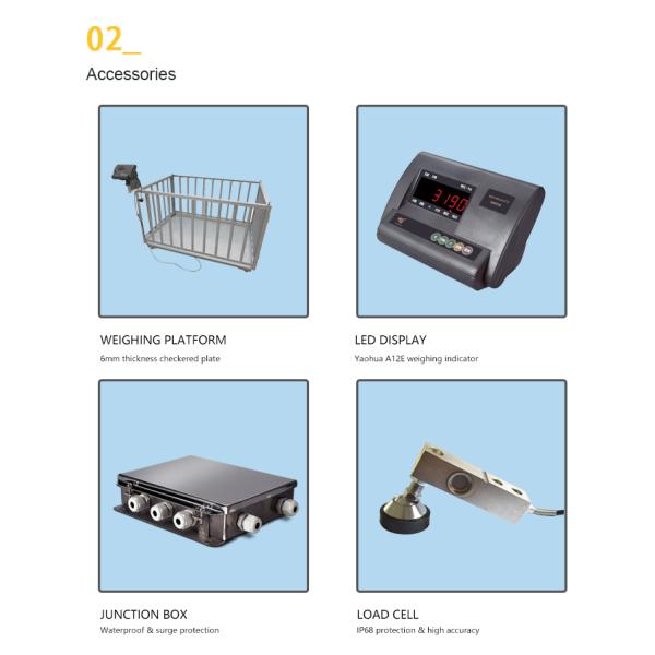 Pig Goat Cow Cattle Weighing Scales , Sheep Weighing Scales Electronic Digital