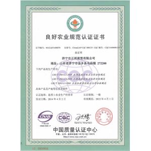 Jinxiang Huatai Fruits and Vegetables,I/E CO.,LTD Certifications