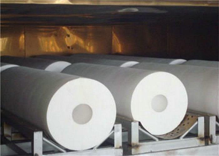 Наградной отлитые в форму рангом трубы PTFE прессуя для индустрии электроники