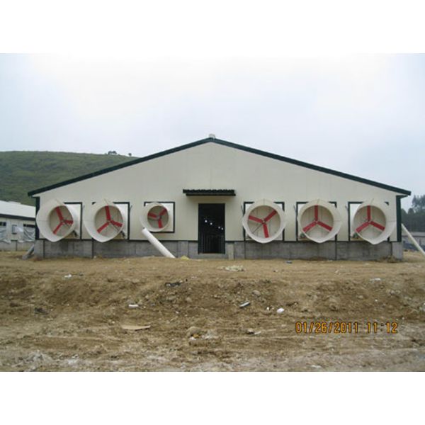600 kg Capacity Poultry Feeding Cart with DC Motor and Hot-Dip Galvanized Steel for Chicken Farming