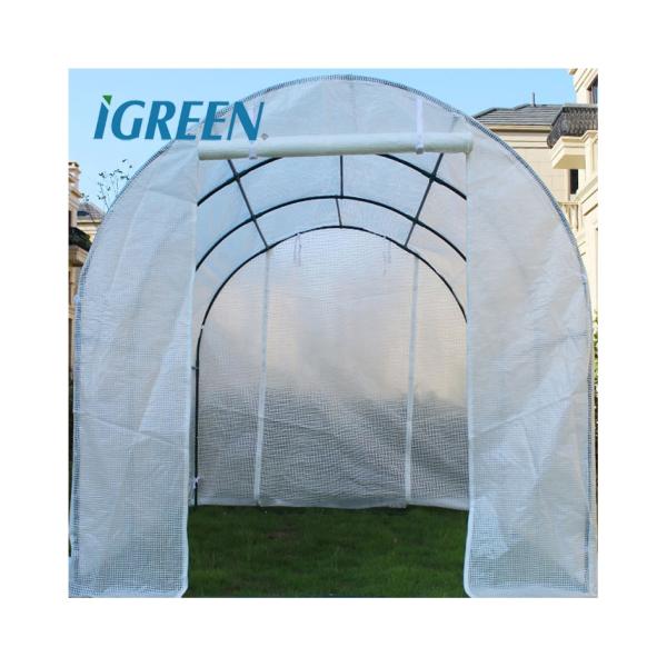 Настраиваемое сельскохозяйственное оборудование Мини-пластиковые теплицы однослойные