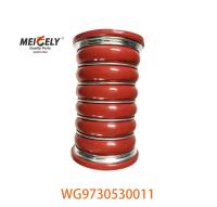 Auto Parts WG9730530011 Intercooler Intake Hose WD615 For HOWO T5G Truck