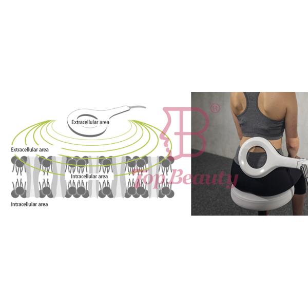 360 Professional Pain Relief Magneto Therapy Machine 300Khz For Elbow