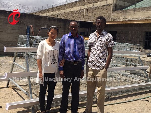 Wholesale Factory Price Q235 Poultry Layer Cage , Battery Cage System 256 Birds  Star