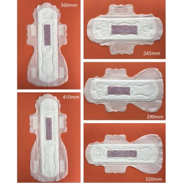 Leak Guard Anion Chip Sanitary Pad