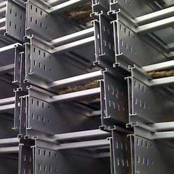 Customized Stainless Steel Ladder Type Cable Tray Hot Dip Galvanized Cable Trunking Raceway