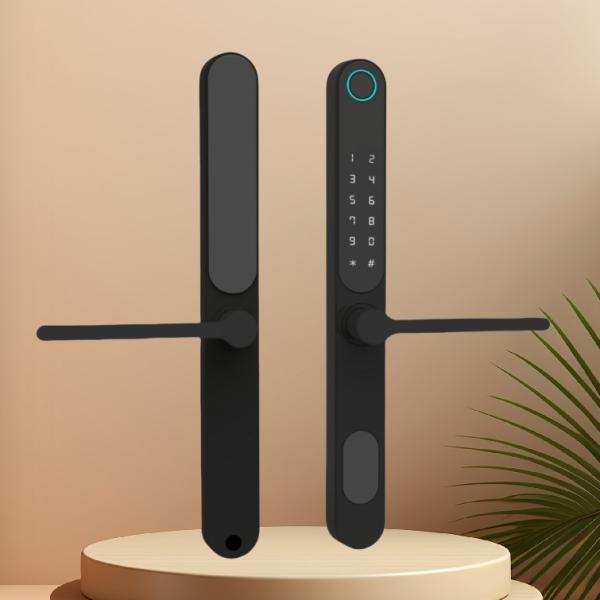 Biometric Keyless TUYA Smart Lock for 35MM Panel Aluminum Sliding Glass Door