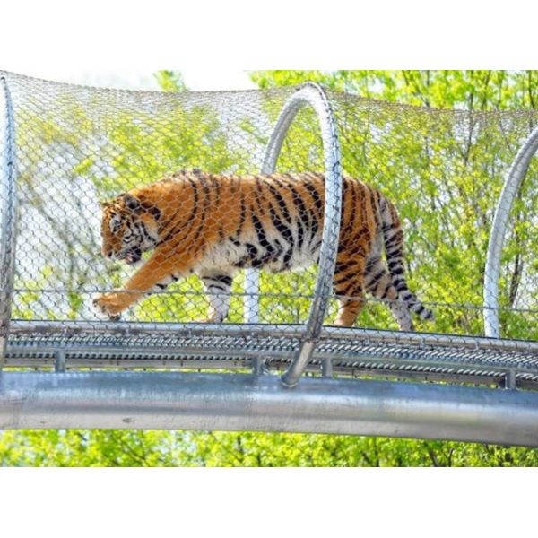 Stainless Steel Rope Mesh Zoo Fencing – High Safety and Aesthetically Pleasing