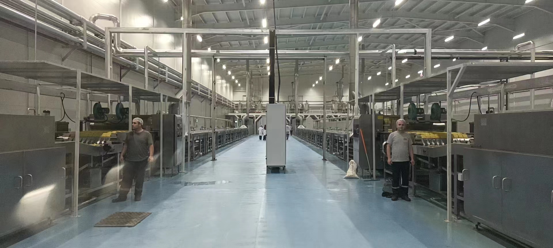 Полностью автоматическое BFP-800 зажарило производственную линию лапши быстрого приготовления