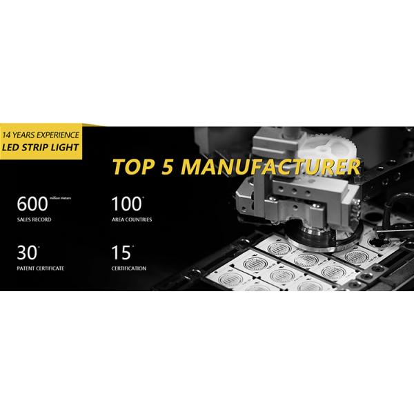 Venta al por mayor Largura personalizable para exteriores 5m 10m 20m SMD 2835 180leds/M IP67 Lámpara LED resistente al agua