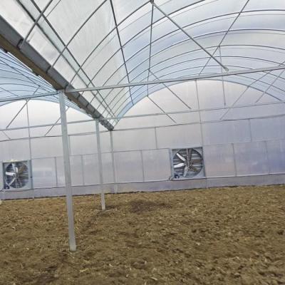 Vegetais Agricultura Tomates Dome Roof 7-10m Span Po Film Estufa