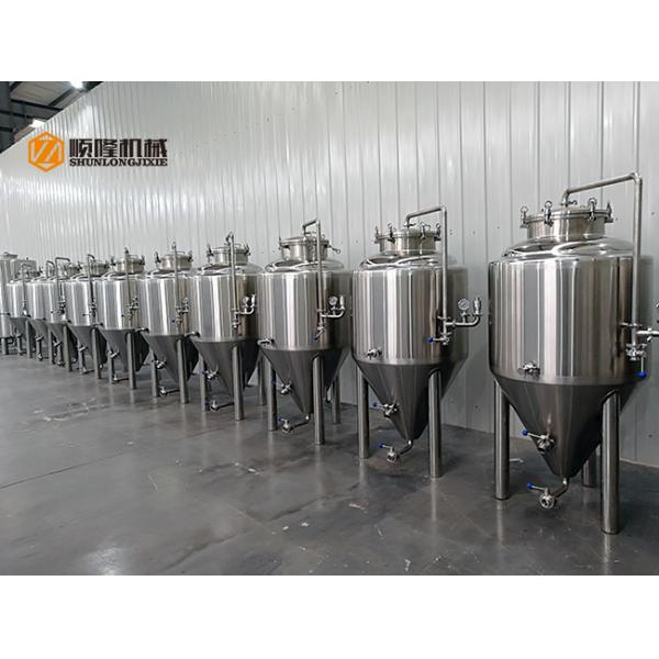 German 2 Phases Small Microbrewery Equipment Stainless Steel 500L With CE / ISO