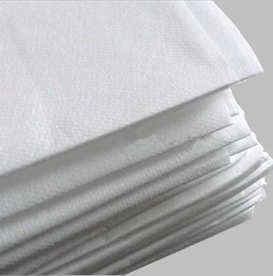 Adultos 19,7 ' X 27,6 rolo descartável da tampa de cama do OEM de 20gsm 25gsm