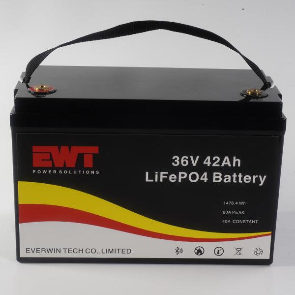 Black Portable 36V 42AH LifePo4 Battery Pack For Power Supply Chargeable and Long-Lasting