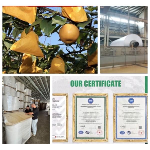 56gsm 370mm 380mm Roll Brown Fruit Bag Paper For Mango Protective