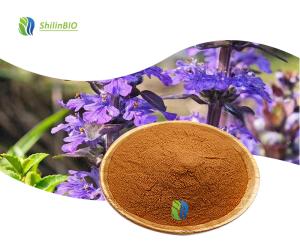Ajuga Turkestanica Extract (turkesterone)