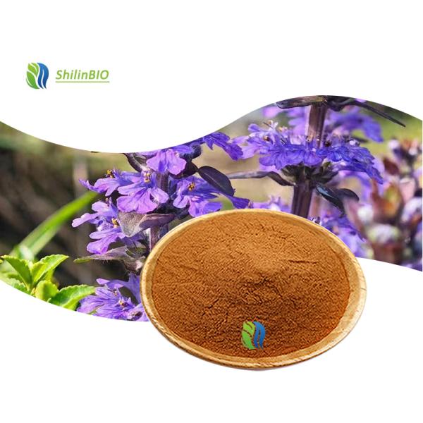 Ajuga Turkestanica Extract (turkesterone)