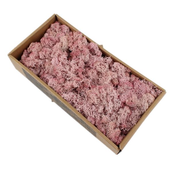 Stabilized Valentine Gift Preserved Natural Moss In Box