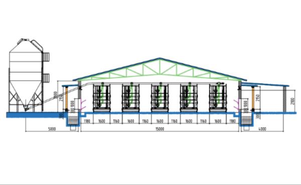 Floor-To-Cage Conversion Broiler Chicken Cage