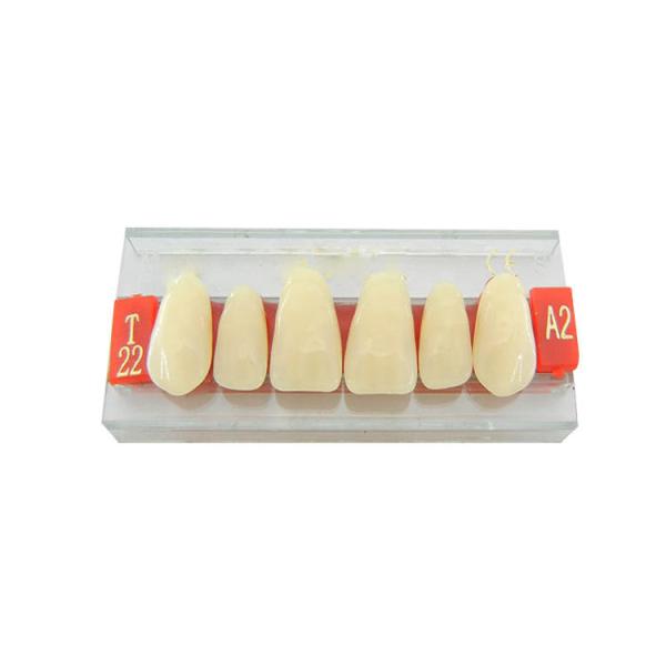 3 Layers Acrylic Resin Composite Teeth Denture Standard Size VITA Shade