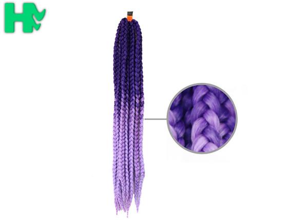 Braid Purple 24 Inch Synthetic Hair Pieces , False Hair Pieces Hair Extensions Type