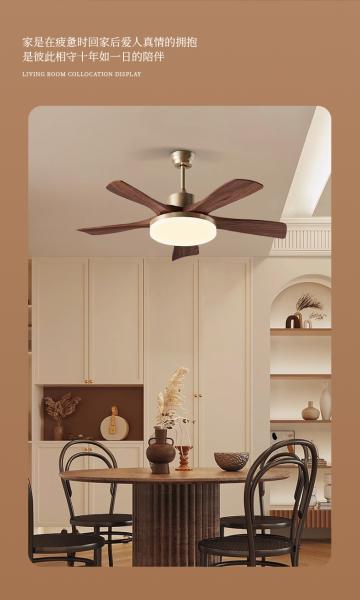 gros, fabricant, usine, lot, sur mesure, personnalisé Ventilateur de plafond moderne de 56 pouces avec lumière 5 lames Noir / Blanc Pour salon télécommande Corps de fer moteur CC