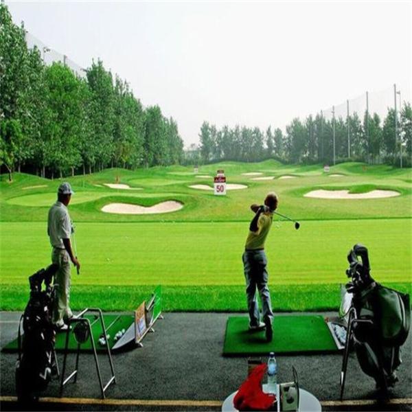 Indoor Outdoor Grass 25mm Pile Heght 9000 Dtex Anti Ultraviolet 1mm Width