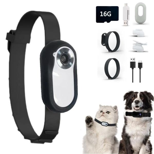 Metal Battery Powered Pet Camera Collar IP67 HD Wireless Large Capacity