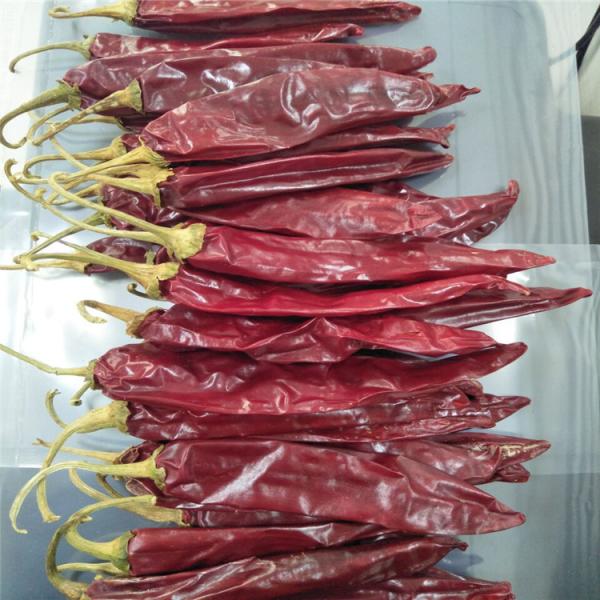 Приправляя высушенные перцы Chili Chili 180 ASTA Guajillo накаленные докрасна