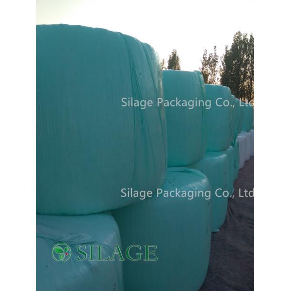 Best Quality 500mm Green Color Silage Wrap Film