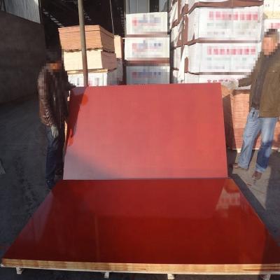 Lightweight Hardwood Faced Plywood Resistant To Corrosion Eco Friendly