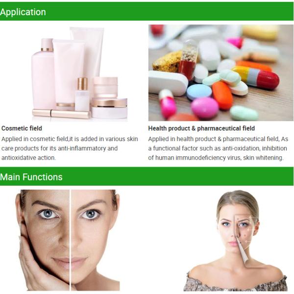 Ellagic Acid Pomegranate Peel Extract Water Soluble CAS 476-66-4 For Cosmetics