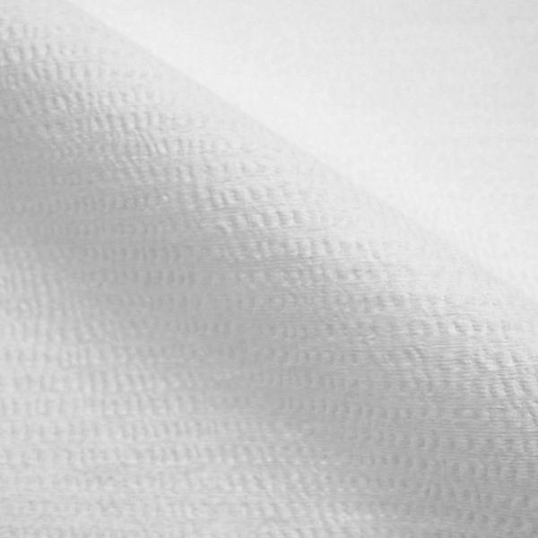 Le blanc Creped la pâte de bois Spunlace non-tissé pour le chiffon de Cleanroom