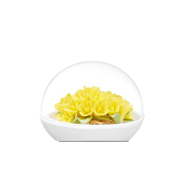 Ready To Ship In Stock Ceramic Candle Holders Fragrance Essential Oil In Custom Shapes And Colors As Gift Home decoration