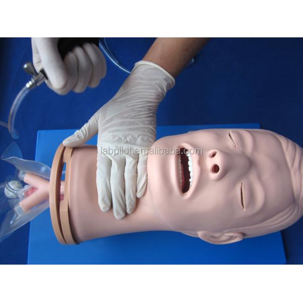 Multi-functional Endotracheal Intubation Training Mannequin for Airway Management Model