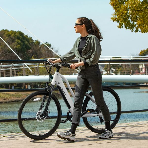 Wholesale Classic 26 Inch Electric Bike | 36V 7.6Ah Urban Commuter E-Bicycle | OEM/ODM Available Women Bike