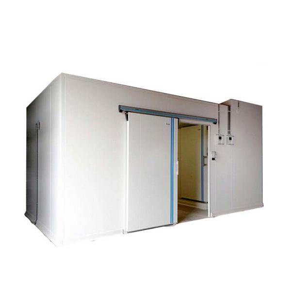 Blast Freezer Cold Room Price for Chicken Fish Meat Supermarket Hotel Storage