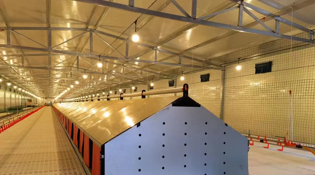 Commercial Fully Automatic Nest Box Poultry Farming Equipment Egg Collection Nest Box