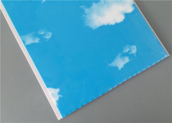 Blue Sky Garage Organization Wall Panels , Laminate Wall Panels For Bathrooms