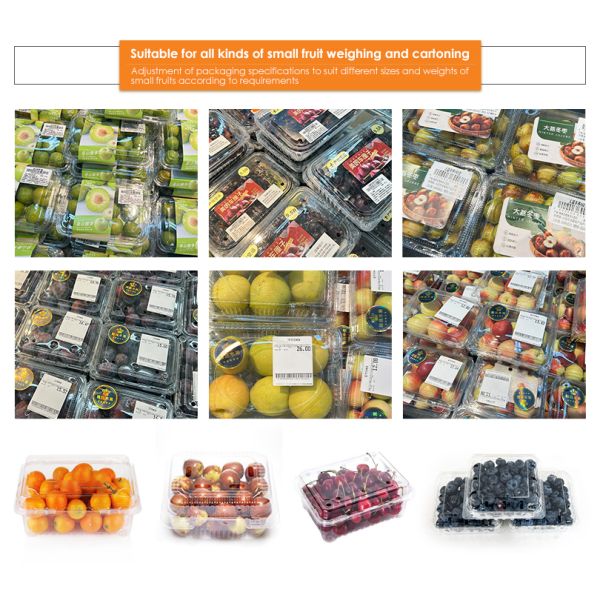 Automatic Cherries, cherry tomatoes, blueberries Fruit Clamshell Weighing & Packaging Line