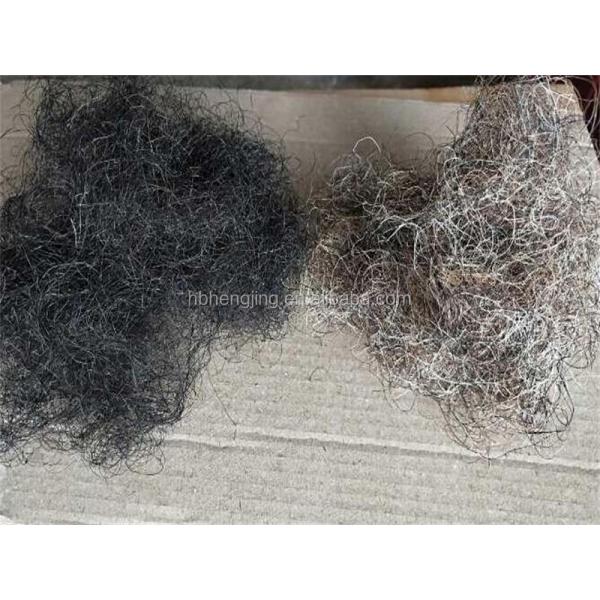 Washed Good Quality Clean Curly Horse Hair for Mattress