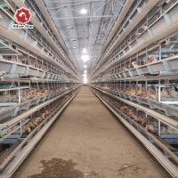 Conception galvanisée électrique de cage de poulet de batterie de 5 oiseaux des rangées 90 plus nouvelle