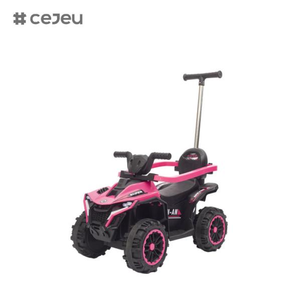FRY-868-1 Push Handle Kids Ride On Car With Canopy,Safety Guard,Early Education,Kids ATV,Electric Kids Ride On Car